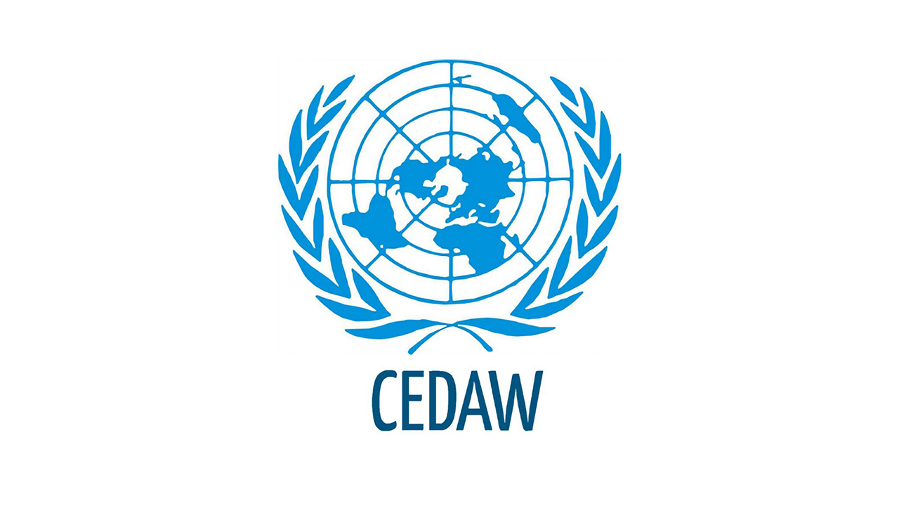 CEDAW Expert Group Meeting