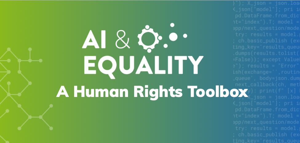 AI & Equality | Graduate Institute of Geneva